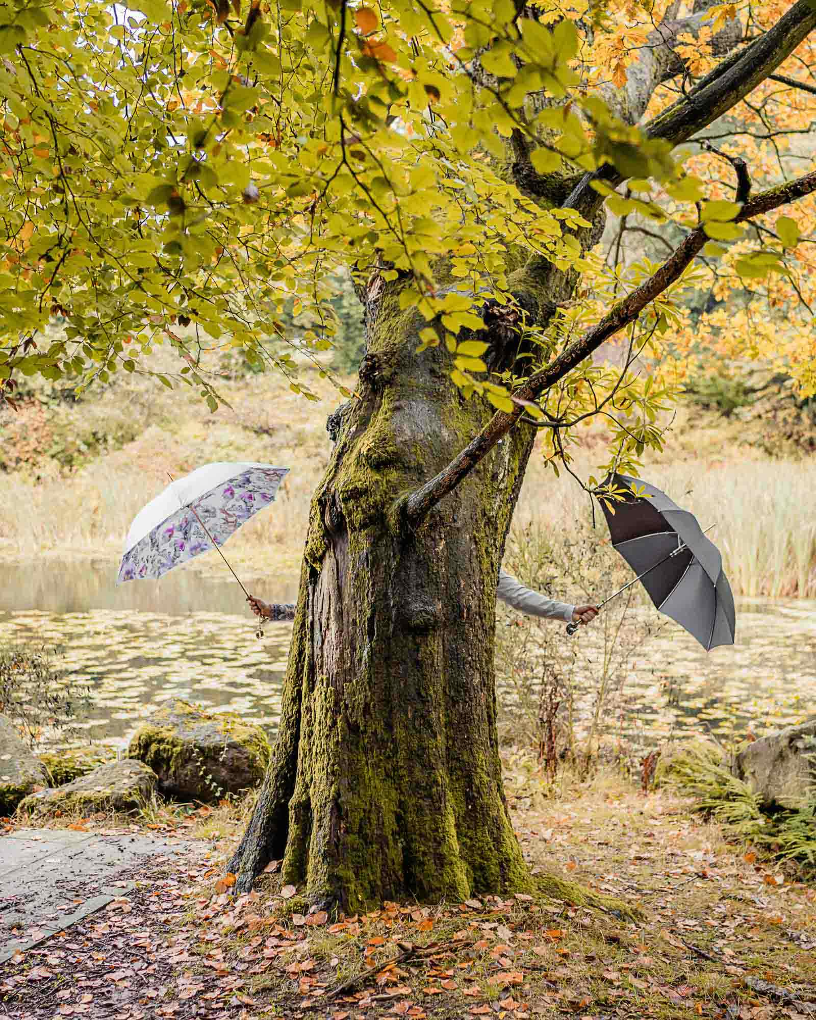 Playful elopement wedding in Yorkshire as the couple hide behind a tree, holding umbrellas by a woodland lake.