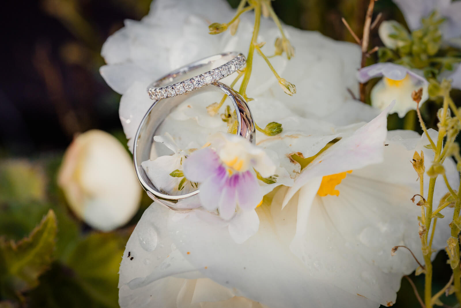 Close-up of diamond wedding rings resting on white flowers with soft natural light