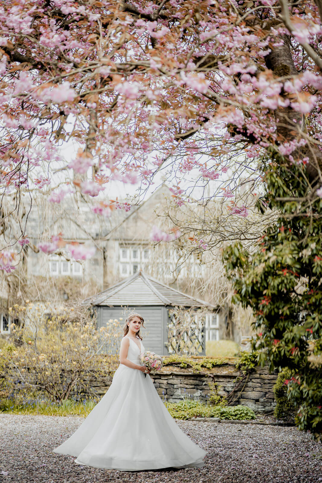Bride standing under cherry blossom trees in Harrogate during a spring pre-wedding photo session
