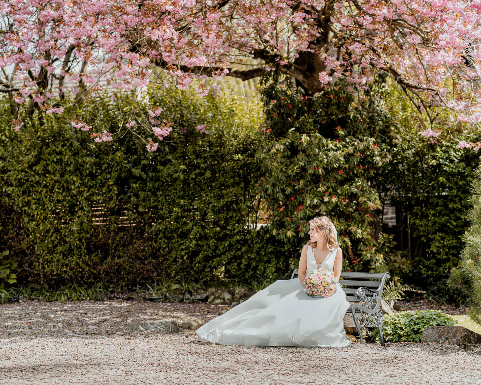 Bride sitting on a bench under cherry blossom trees in Harrogate during a spring photo session