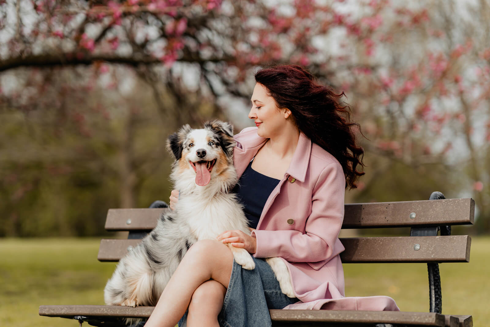 woman sitting on a bench with her dog under blooming trees