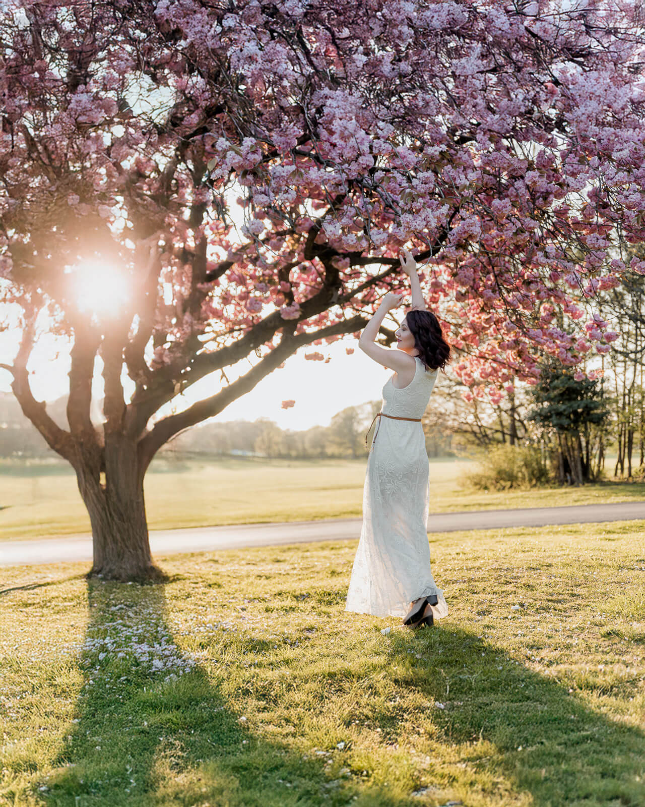 Woman standing under a cherry blossom tree in Harrogate during golden hour