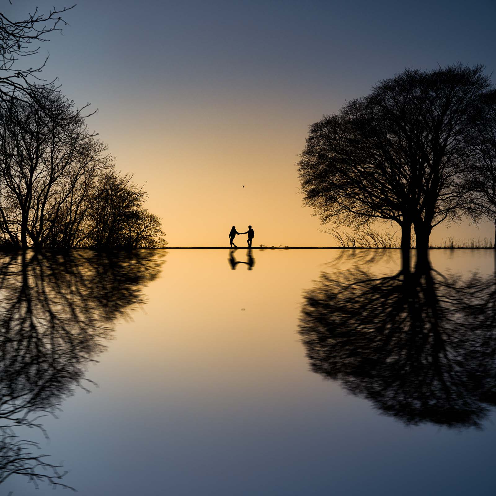 Silhouetted couple holding hands at sunset in Yorkshire, reflected in still water between two trees - fine art wedding photography