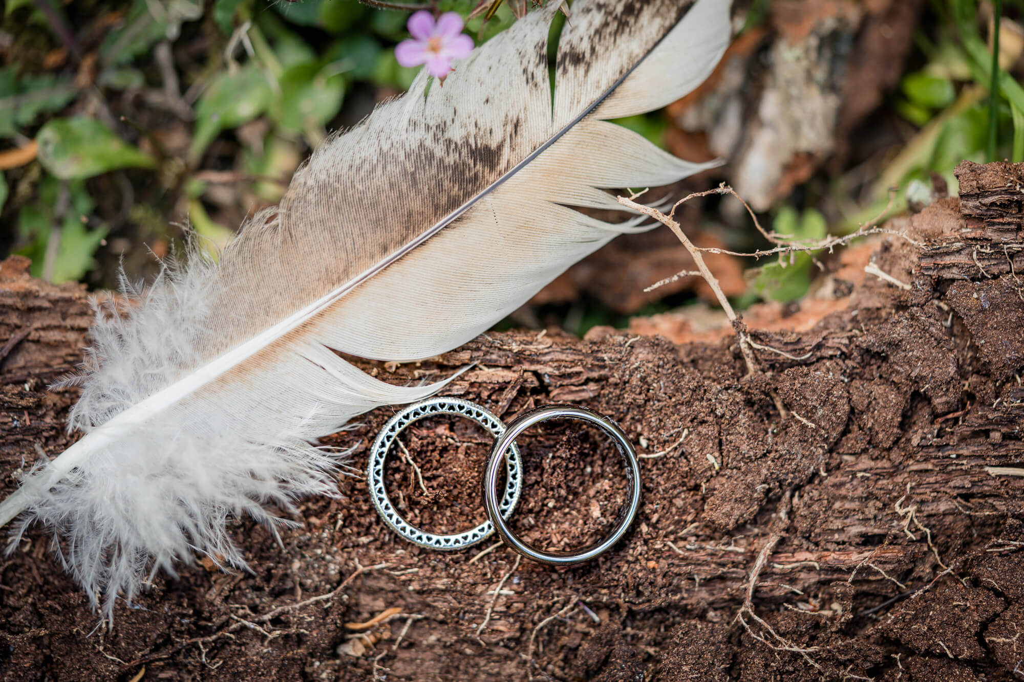 Wedding rings beside a feather in the Hazlewood Castle woodland.